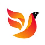 火鸟影视免费版app