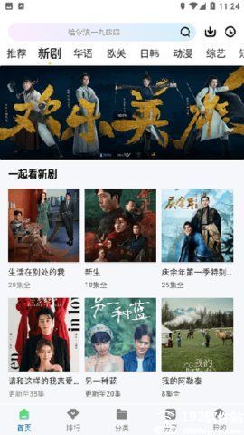 枫叶视频电视剧免广告版