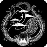 天鹅视频大全最新版