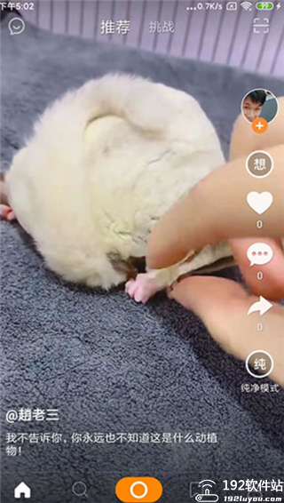 高手短视频app